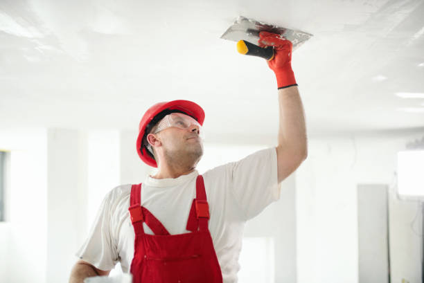 Best Drywall Installation  in Wilmington, OH